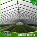 China manufactory direct sale greenhouse pe film tarpaulin